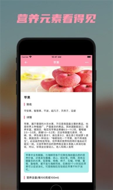 懒猪营养查询